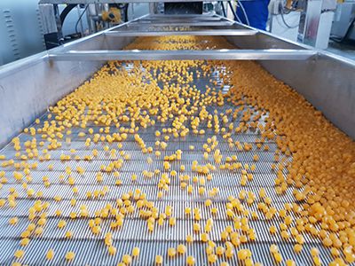 Línea de producción de nachos de maíz
