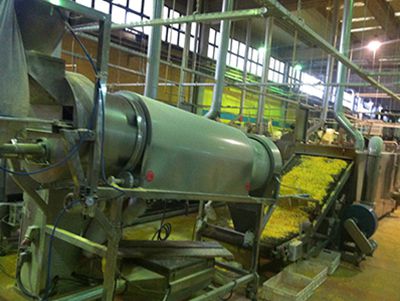 Línea de producción de nachos de maíz
